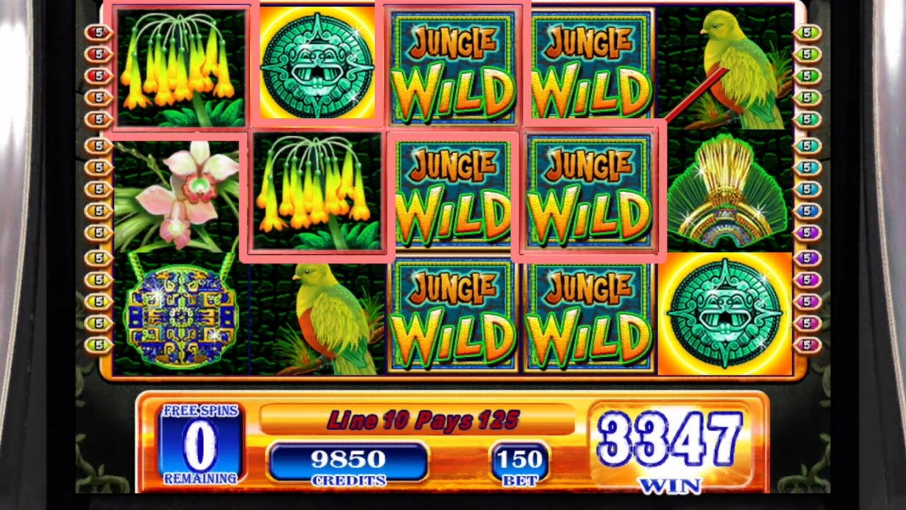 490% Best signup bonus casino at Slotty Dubai Casino