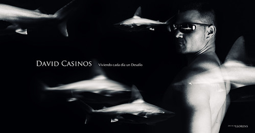 DAVID CASINOS