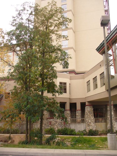 Casino 047