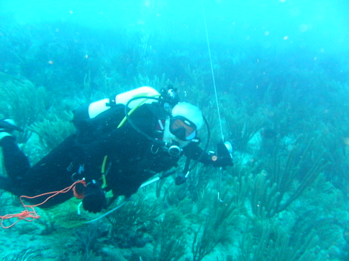 WJ with dive flag and sausage line coming apart