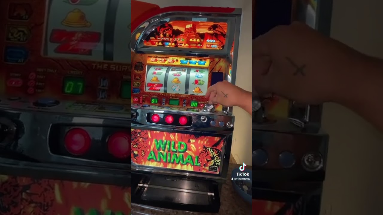 Encontré una máquina de UK Casino Online en un contendor de $250